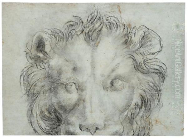 The Head Of A Lion - view 1