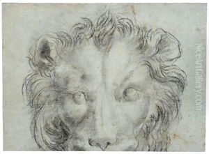 The Head Of A Lion by Annibale Carracci