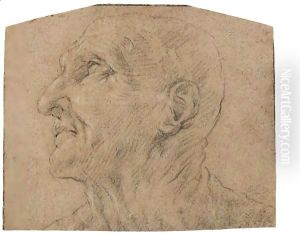 The Head Of Seneca