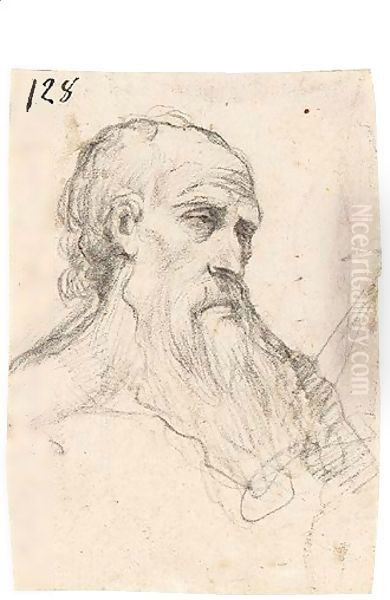 Head Of A Bearded Man - view 1