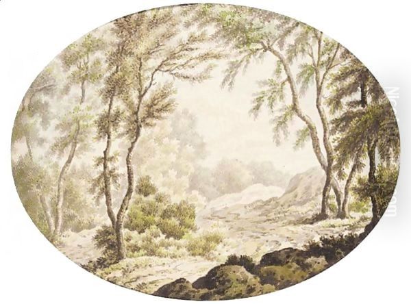 A Path Through Trees - view 1