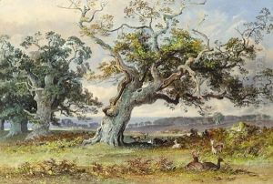 Deer In A Park Resting In The Shade Of An Old Oak Tree