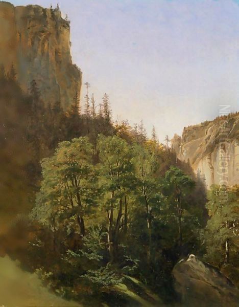 Woods And Rocky Cliffs - view 1