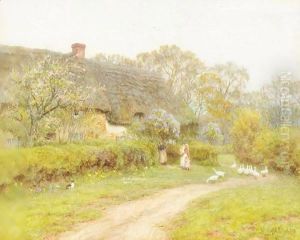 Spring Time At Lower Denhay, Bridport