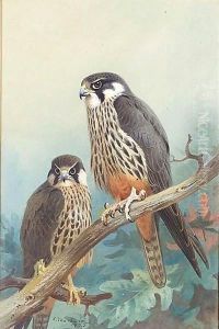 Hobbies by Archibald Thorburn