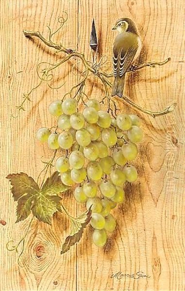 Bush Warbler With Grapes - view 1