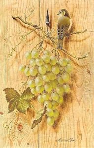 Bush Warbler With Grapes