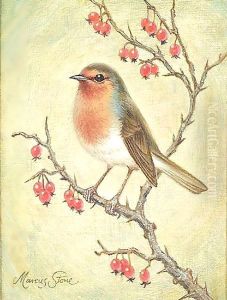 Robin