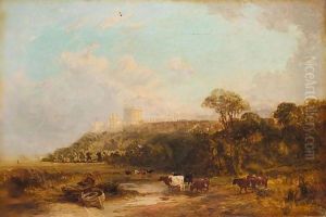 Cattle Watering With Windsor Castle In The Background