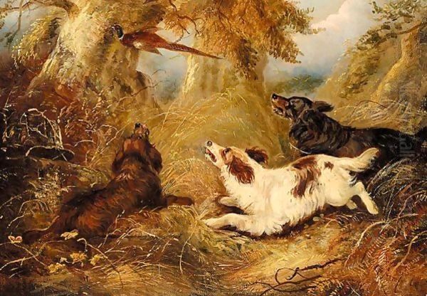 Spaniels And A Pheasant by George Armfield