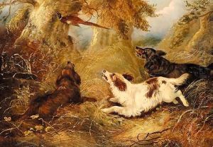 Spaniels And A Pheasant