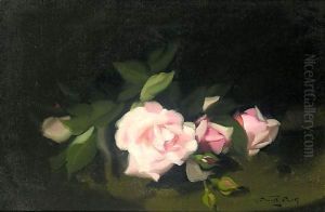 Pink Roses