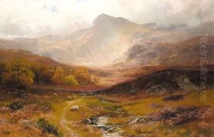 Landscape In Wales