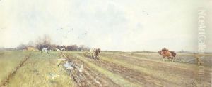 Winterploughing Near Bosham, Sussex Winterploughing Near Bosham, Sussex
