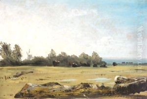 A Meadow With Cattle Grazing