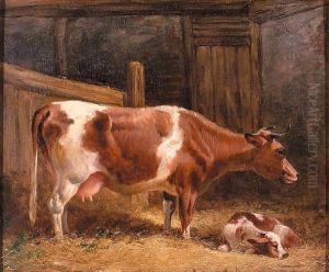 A Cow And Calf In A Stall by John Frederick Herring Snr