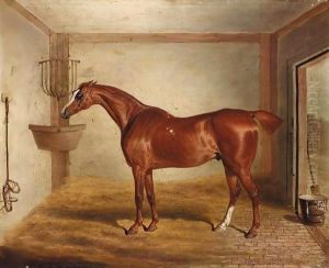 'Whittington', A Favourite Bay Hunter In A Stable