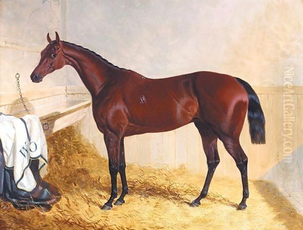 Mr William Orde's Bay Filly Bees-Wing In A Loose Box - view 1