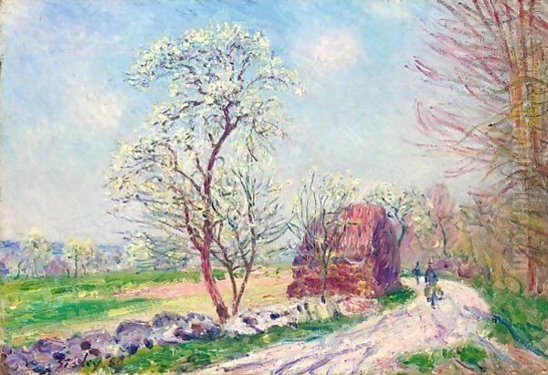 Le Chemin De Butte - Retour En Foret - view 1