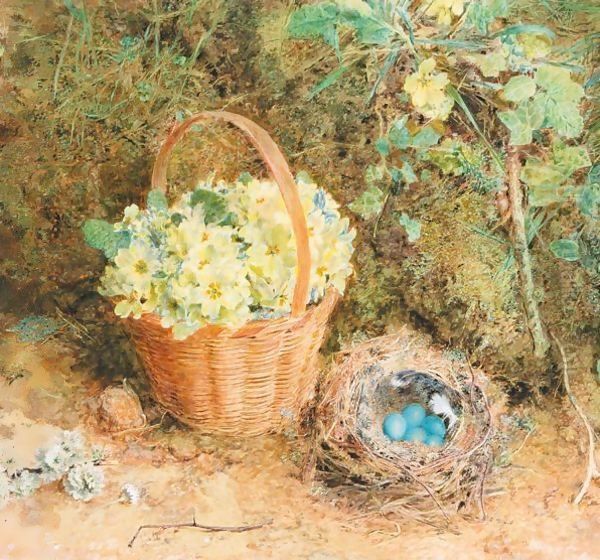 Primroses - view 1