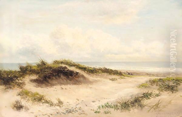 Sand dunes - view 1