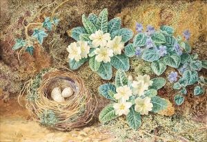 Still life of birds nest with primroses and ivy