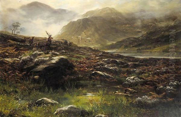 Deer in the highlands - view 1