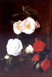 A Study Of Camellias