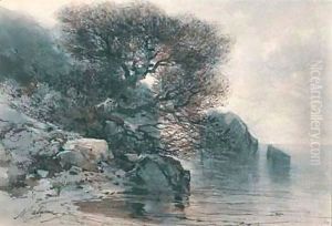 Arbres Au Bord D'Un Lac