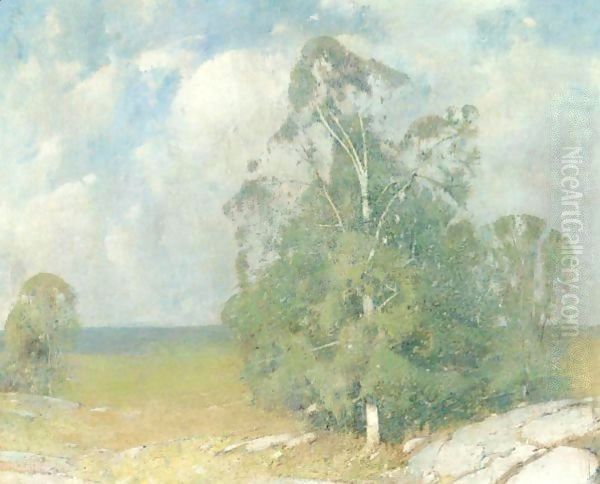 Trees In Full Summer - view 1