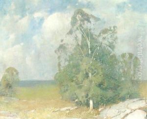 Trees In Full Summer