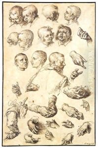 Sheet Of Studies Of Heads, Arms, Hands And A Youth Seen From Behind by Jacques de Gheyn