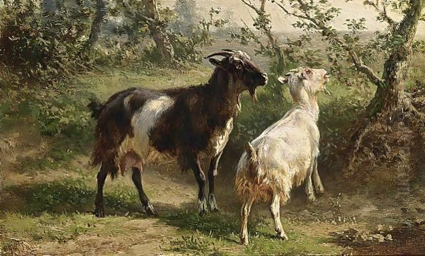 Two Goats - view 1