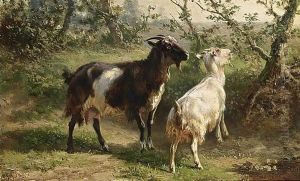Two Goats by Jan Bedijs Tom