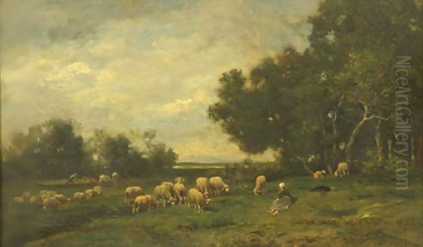 Relaxing Among The Flock - view 1