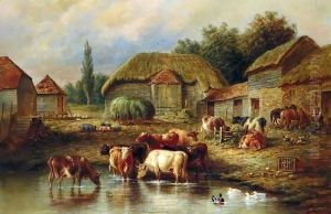Farmyard Scene With Cattle Watering
