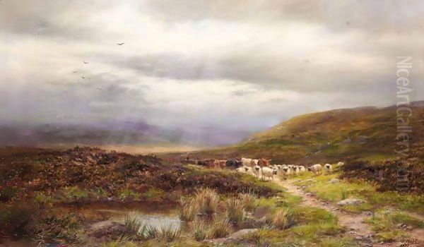 A North Derbyshire Moorland - view 1