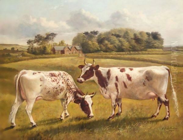 Pinky II And Polly II, Two Prize Pedigree Ayrshire Cows In A Spring Landscape - view 1