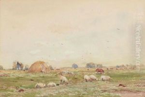 Landscape With Sheep
