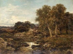 On The Llugwy, Near Capel Curig