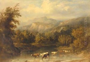 Cows Watering