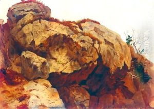 A Rocky Outcrop