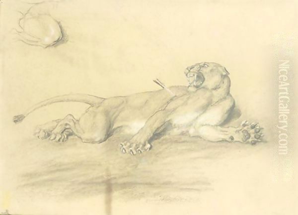 Wounded Lioness - view 1