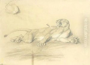 Wounded Lioness