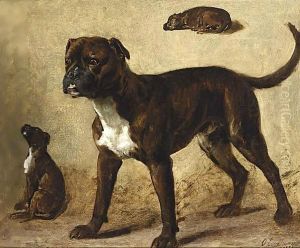 Study Of Boxers by Otto Eerelman