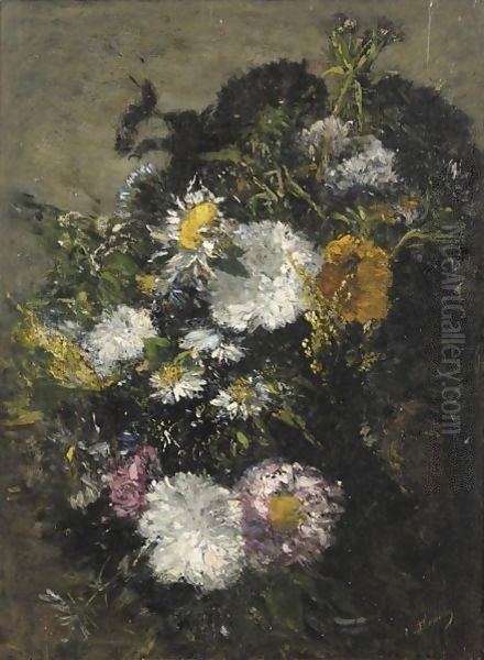 Etude De Marguerites - view 1