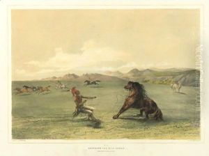 Catching The Wild Horse And Buffalo Hunt, Under The White Wolf Skin by George Catlin