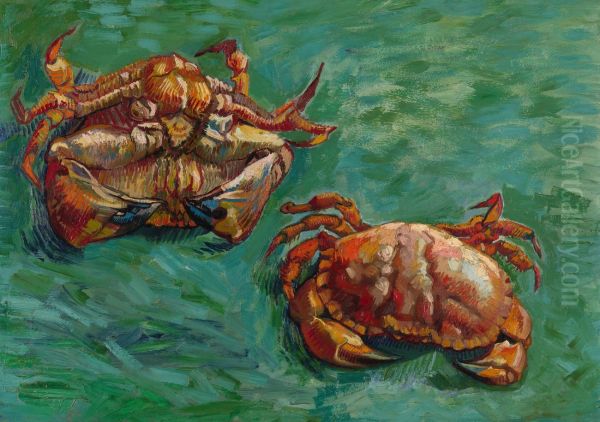 Deux Crabes - view 1