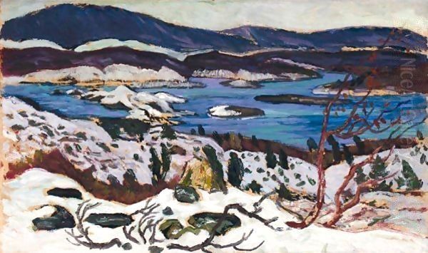 Stora Sjofallet I Winterskrud (Lake Sjofallet In Winter) - view 1