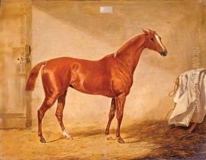 A Racehorse In A Loose Box by Henry Thomas Alken